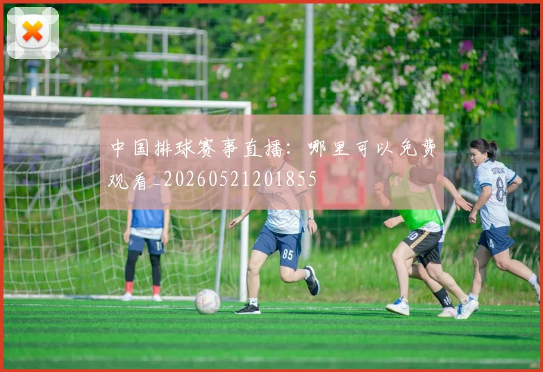 中国排球赛事直播:哪里可以免费观看_20260521201855