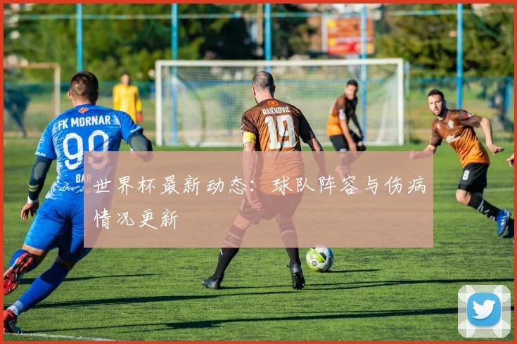 世界杯最新动态：球队阵容与伤病情况更新