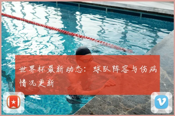 世界杯最新动态:球队阵容与伤病情况更新